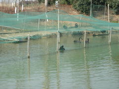 -苏州太湖国家湿地公园