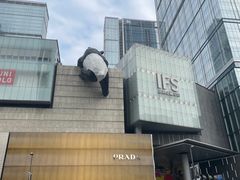 -雨田饭店