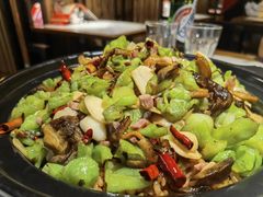 -滇铺子·云南特色菜·第九届野生菌美食节(曲靖万达店)