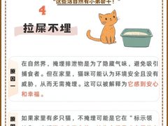 -申普宠物医院(总院)