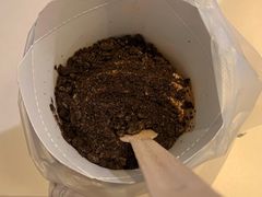 阿华田风味酷脆麦旋风-麦当劳(温州人民路店)