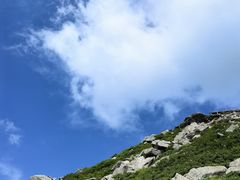 -朱雀国家森林公园