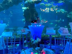 -海合安青岛极地海洋公园