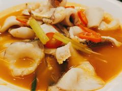 红酸汤烩鱼片-湛江民大喜来登酒店-采悦轩中餐厅