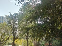 -中南大学湘雅二医院