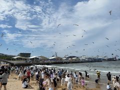 -海驴岛(荣成市)