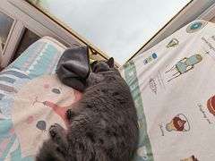 -Rabbit Cafe私房西餐甜点咖啡(栖霞路店)