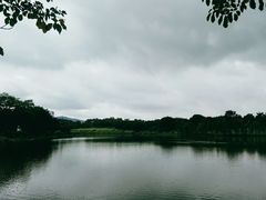 -东莞植物园