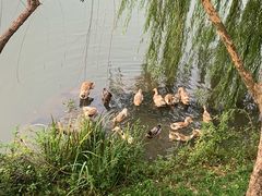 -上海怡沁园度假酒店