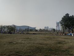 -桂溪生态公园