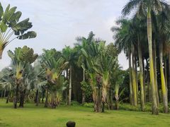 -中澳友谊花园