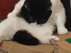 -路易时光(蕴川路店)