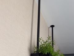 -华夏良子·足道SPA艾灸(王府井店)