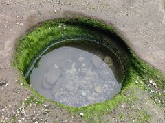 -贝壳沙滩