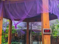 -汉拿山温泉度假酒店
