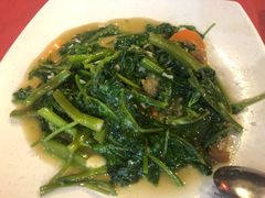 -大树下海鲜饭店