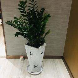 -苑苑vbeauty科技美容SPA