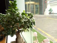 景观位-静一·食光里(黄河路店)