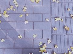 -好利来(十里河店)