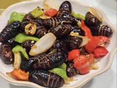 -渔娘渔家丹东海鲜(东直门店)