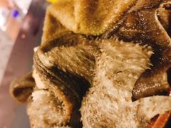 毛肚-邓莽子老火锅(鲁祖庙店)