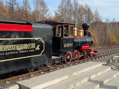 -莫尔道嘎国家森林公园