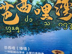 -西双版纳傣族园