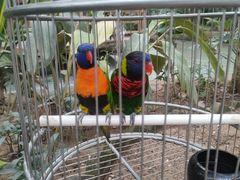 -南宫五洲植物乐园