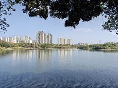 -广东花都湖国家湿地公园