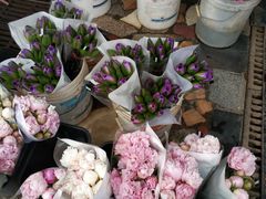 -秦美花卉(天朗·莱茵小城2期店)