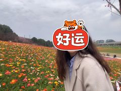 -秀丽东方