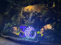 -夜间野生动物园