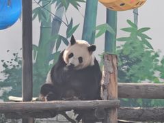 -大青山野生动物园