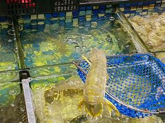 -揭阳钟记小食(福田新村店)