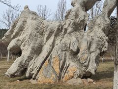 -山东大学(兴隆山校区)