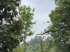 -江郎山风景名胜区