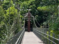 -新加坡飞禽公园