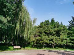 -太阳宫公园