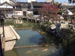 -檀园