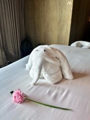 -VELEE·SPA高定疗愈会所