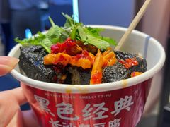-黑色经典臭豆腐·湖南特产(坡子街店)