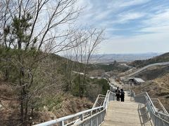 -大青山野生动物园
