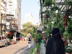 -溪岸路花鸟市场