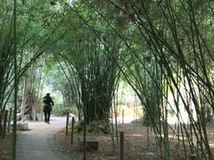 景点-西苑公园