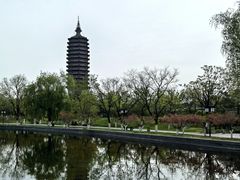 -西海子公园