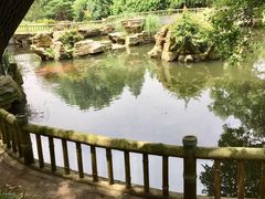 -东湖落雁景区