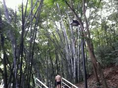 -虎英水上乐园