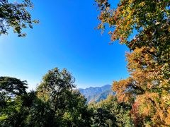 -广州市石门国家森林公园