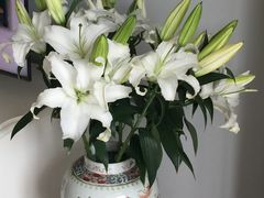 -爱尚幸福鲜花(上地实体店)