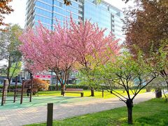 -唐城墙遗址公园